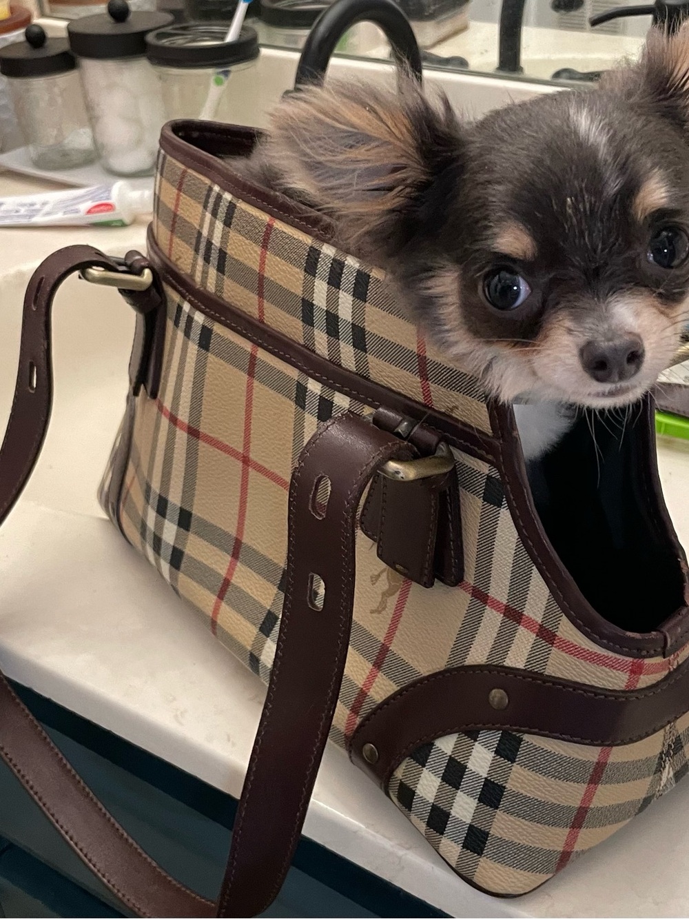 Burberry Beige Vintage Check Shoulder Bag with Brown Leather